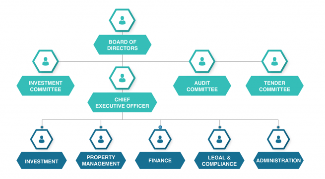 organizational structure